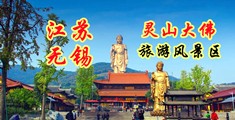 日比啊啊啊啊江苏无锡灵山大佛旅游风景区